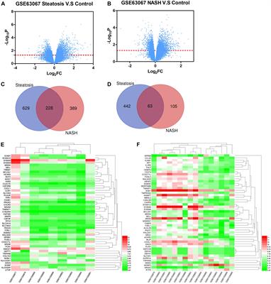 Bioinformatic Analysis of Crosstalk Between circRNA, miRNA, and Target Gene Network in NAFLD